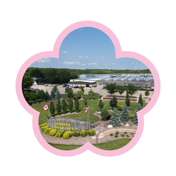 Flower-Locations2.png#asset:9794