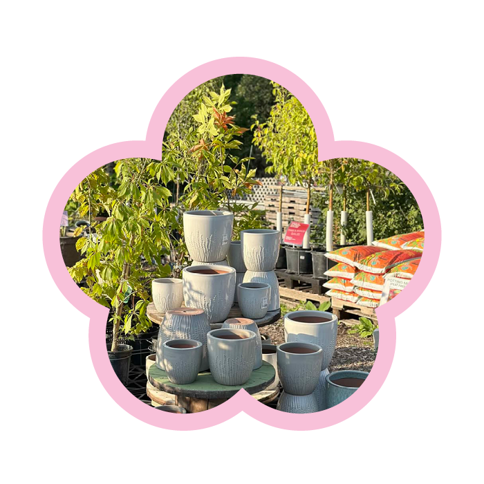 Flower-Locations7.png#asset:9788